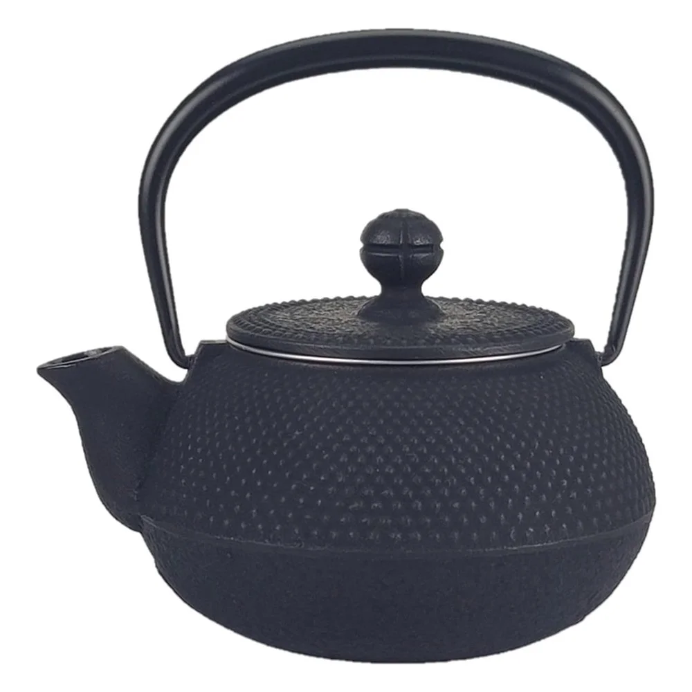 Iwachu Cast Iron Teapot (Enamel-lined Kyusu)