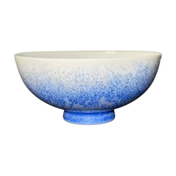 Arita Ware Indigo Droplet (Aizome Suiteki) Chawan