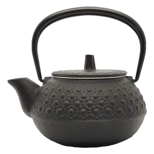 Iwachu Tetsubin Teapot-Kettle (Unenamelled, Stovetop Safe)