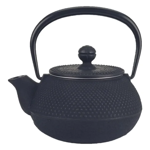 Iwachu Cast Iron Teapot (Enamel-lined Kyusu)