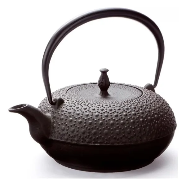 Oigen (Seieido) Tetsubin Cast Iron Kettle
